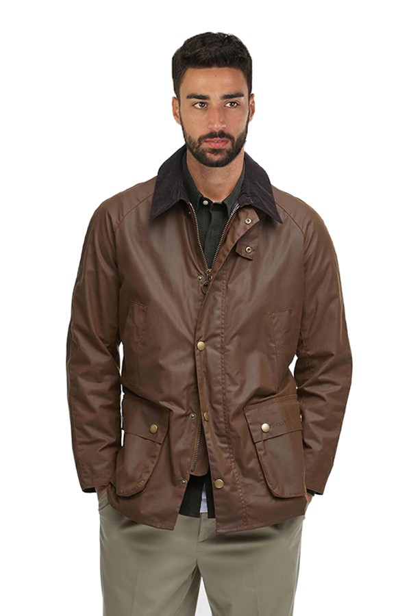 Giubbino Barbour Ashby Bark