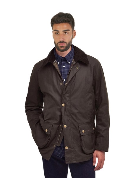 Ashby Oliva BARBOUR jacket