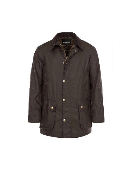 Ashby Oliva BARBOUR jacket