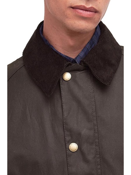 Ashby Oliva BARBOUR jacket